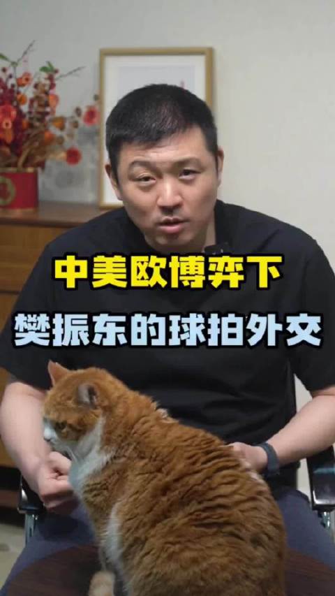 WNBA新星崛起，球员防守科比成荣耀，樊振东乒乓